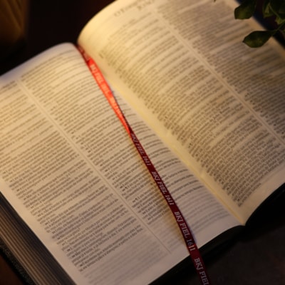 image_82315094-9dfe-438e-9710-2a5bc8d737f9