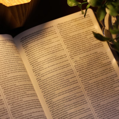 image_95115cee-15cc-4181-8ef4-5f6b188d5a71