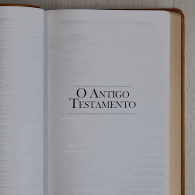 image_6ac7916f-395b-4c34-8a0e-8b0977b1ace4