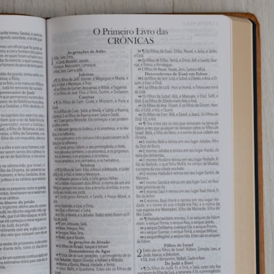 image_2f056113-4a1f-4a3d-aa9c-4eeb0a99fc35