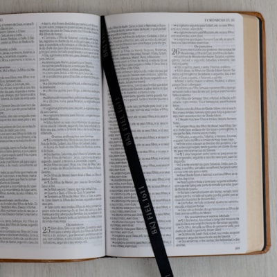 image_c2daebdb-9ab9-4270-9b86-e166b11c51da