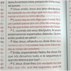 Bíblia King James Fiel | Letra Grande | Capa Luxo  Rosa