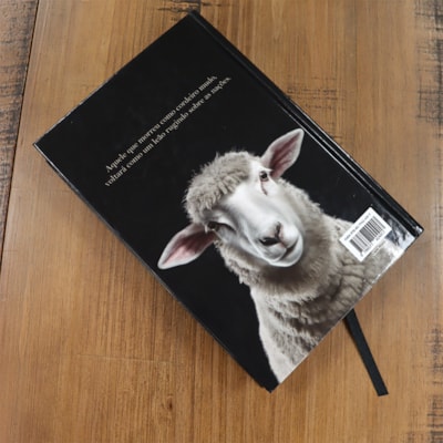 image_ce3dacc1-6708-45a6-8a85-b76e419cb3bc