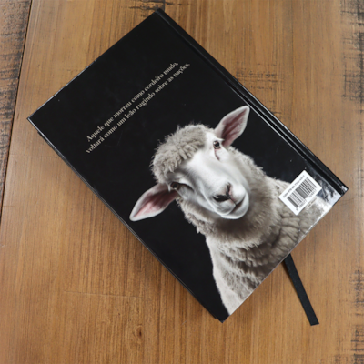 image_89222169-8444-4fef-8556-3c176c368c17