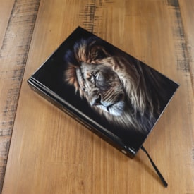 Segunda imagem do produto Bíblia Leão Alteza | ACF | Letra Normal | Capa Dura