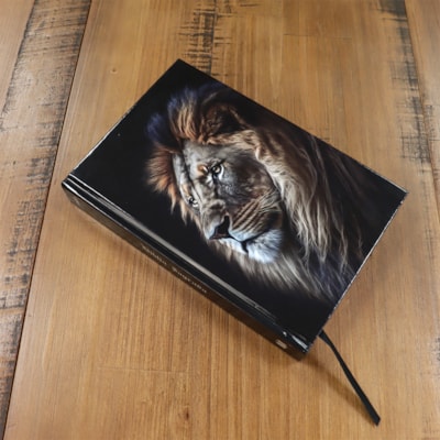 image_9e006aa9-53d5-48f7-8f33-5a302aa0da26