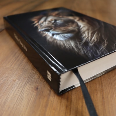 image_74fd5854-dd11-4675-bfef-754456b0631a