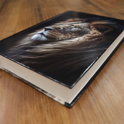 image_c7ba4892-2417-4bcb-878d-0410e5282721