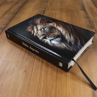 image_f045ab5b-7f86-4e0c-b1b6-ad00275c6b84