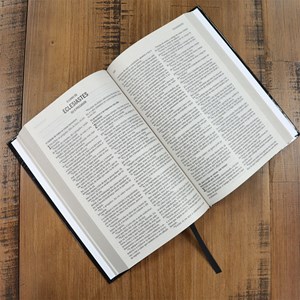 Bíblia Leão Alteza | ACF | Letra Normal | Capa Dura