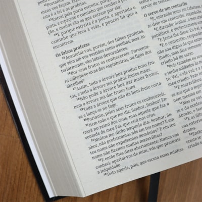 image_41deb059-2d89-47d0-8f69-b911601a4c47