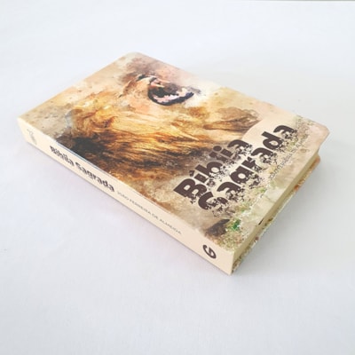 image_26ed5106-d537-4627-82a5-6eebeba8a8fa