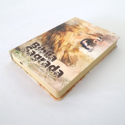 image_7f88cea2-1877-4453-ae59-22ead289be59