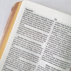 Bíblia Leão | ARC | Letra Normal | Capa Dura