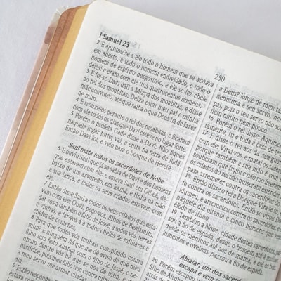 image_279bb000-aa3b-4015-8a51-f197be4fcbcf