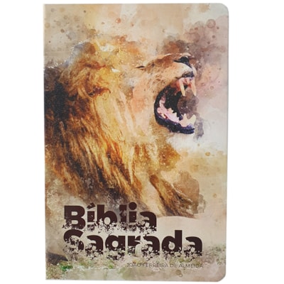 Imagem Principal - f702d8a0-c3d5-4625-b3d6-c1f20b3cf59e