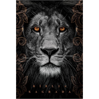 Imagem Principal - fc73a7c2-0817-4e7f-8d4b-fa6b4cd5ee40