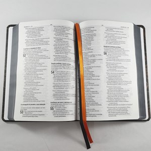 Bíblia Leão Cinza | NAA Letra Normal | Capa Dura