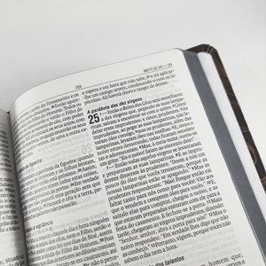 Bíblia Leão Cinza | NAA Letra Normal | Capa Dura