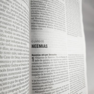 image_b4664883-a6da-4d59-802d-18b94320571f