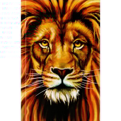 Imagem Principal - 28796900-9a35-4076-b47e-d6e68f1ee34d