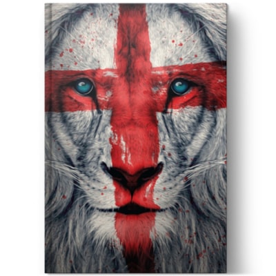 Imagem Principal - d41bbdad-a729-425d-90cf-5b04dfb7ddf4