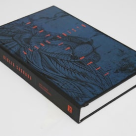 Segunda imagem do produto Bíblia Leão de Judá Azul | NVT | Letra Normal | Capa Dura