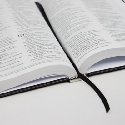 image_f5284544-ccbd-4708-b796-e6fff70e37b0