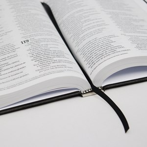 Bíblia Leão de Judá Azul | NVT | Letra Normal | Capa Dura