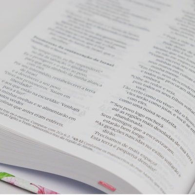 image_158d34ed-1caf-450d-bad4-fa7c6da3b480