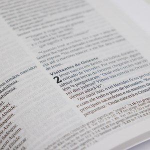 Bíblia Leão de Judá Azul | NVT | Letra Normal | Capa Dura