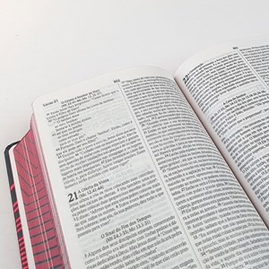 Bíblia Leão de Judá | NVI | Capa Dura