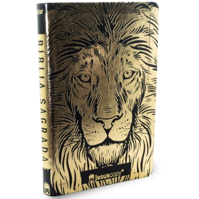 image_49baa5b7-3387-4791-89b6-7c73502edd40