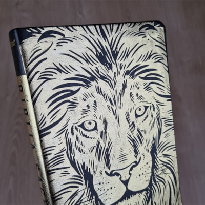 image_7bb72445-3e9e-4a2d-8f96-de55c46b2add