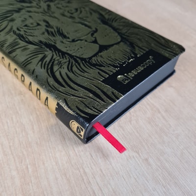 image_69e3f8e4-28f5-4c12-a2d3-7e8e32c8d247