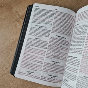 Bíblia Leão Dourado Jesus Copy | NVI | Letra Normal |  Capa Luxo