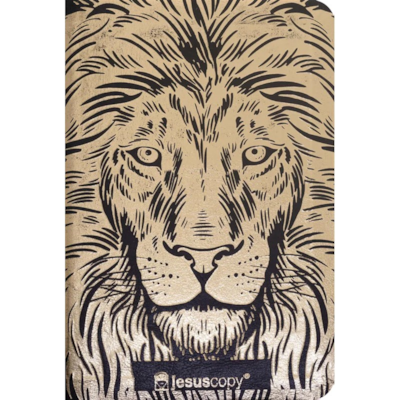 image_3a2ee8f3-9a64-49eb-91dc-21bb634effaa