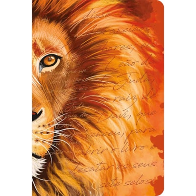 Imagem Principal - 11b74bef-040c-4aa6-a582-1ceefe64a54d