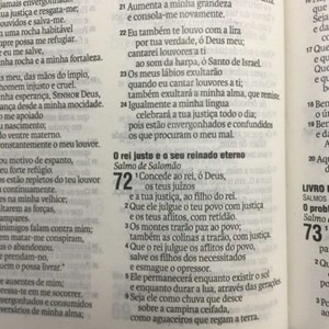 Bíblia Leão Laranja | NAA Letra Normal | Capa Dura Soft-Touch