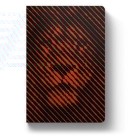 Segunda imagem do produto Bíblia Leão Linear | ACF | Letra Grande | Capa Dura Soft Touch