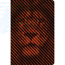 Bíblia Leão Linear | ACF | Letra Grande | Capa Dura Soft Touch