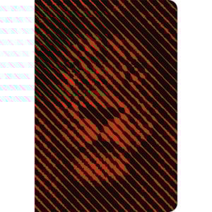 Bíblia Leão Linear | ACF | Letra Grande | Capa Dura Soft Touch