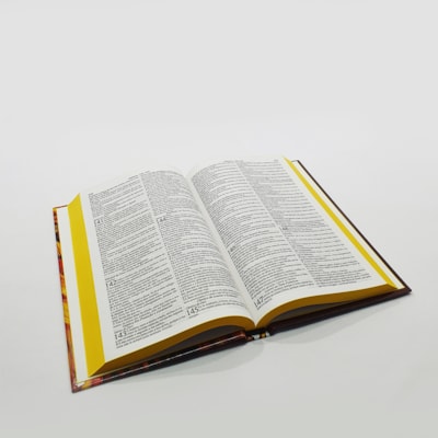 image_e02e37b8-f517-415d-8455-e22531fde2bd