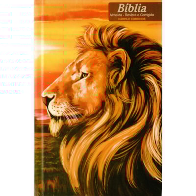 Imagem Principal - 2cba4939-bf07-4e4d-9c03-f617bc810d64
