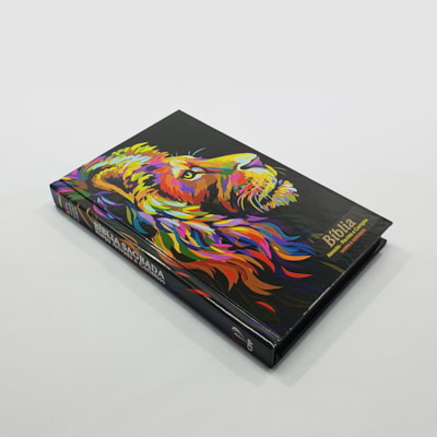 image_47975ca3-b9f7-4a24-b4ee-aada3e2670a1