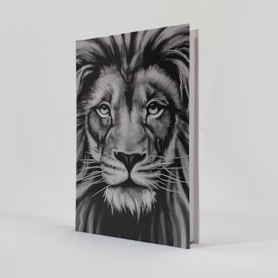 image_36a785a0-f194-4e51-81a6-e8e2a0ceb6b6