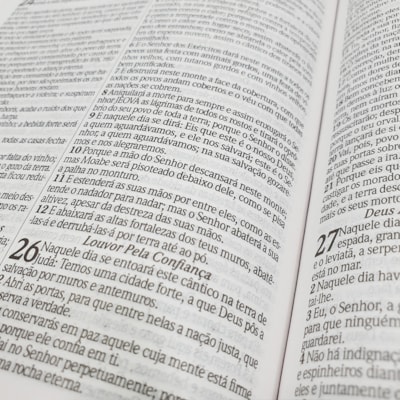 image_ad0bcfeb-fa1d-4cc1-962b-6e06e0cbbffb