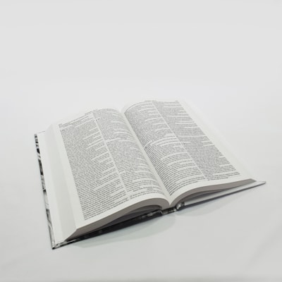 image_a56482ff-c4cb-482b-85eb-6f943e8e6ff4