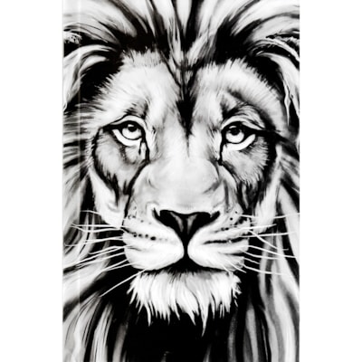 Imagem Principal - 1b3d38cc-b401-45f3-9a90-92c4eaeb440f