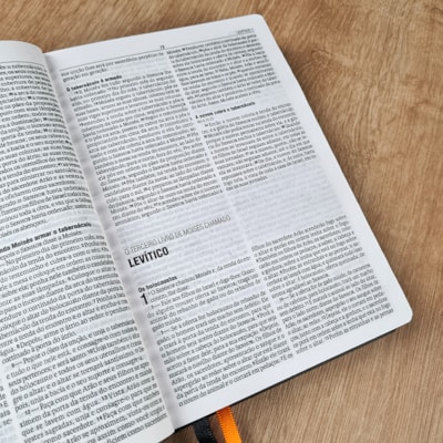 image_6d9cd4c1-f4d8-4249-87b9-7a5587ebd724